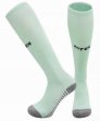 2025-2026 Inter Milan Club light green soccer socks away