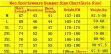 Men Sportswears Summer Size Chart